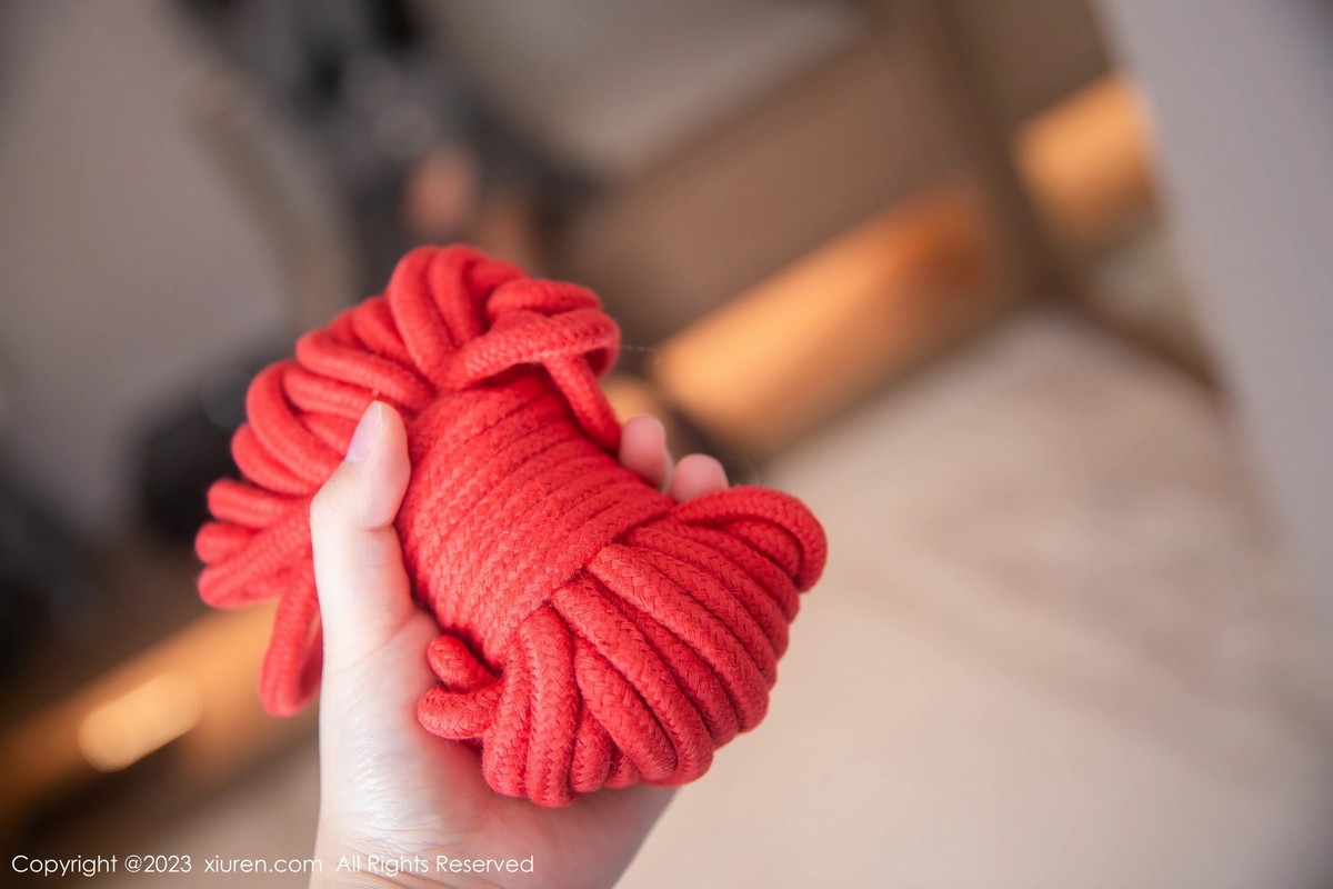 XiuRen第6495期_新人模特谭小灵私房情趣捆绑粉色蕾丝内衣配开档黑丝诱惑写真80PXiuren秀人写真高清美女套图写真下载-看套图看套图