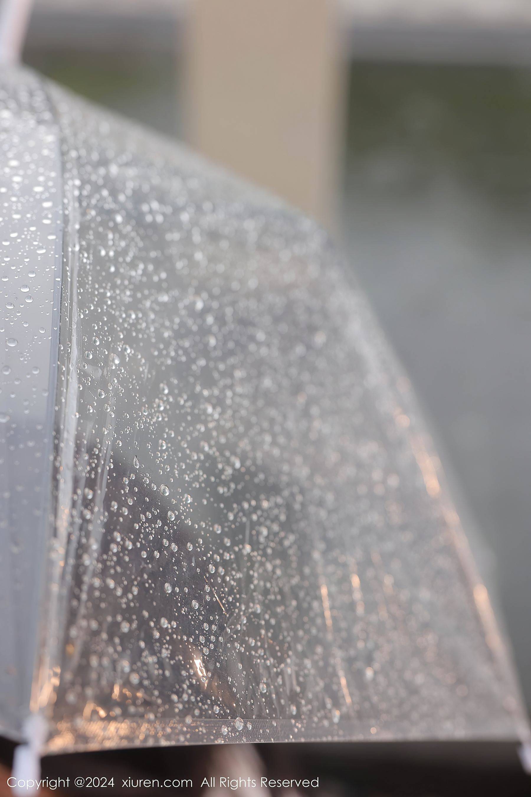 [XiuRen秀人网] No.8885 桃妖夭 丝袜美腿Xiuren秀人写真高清美女套图写真下载-看套图看套图