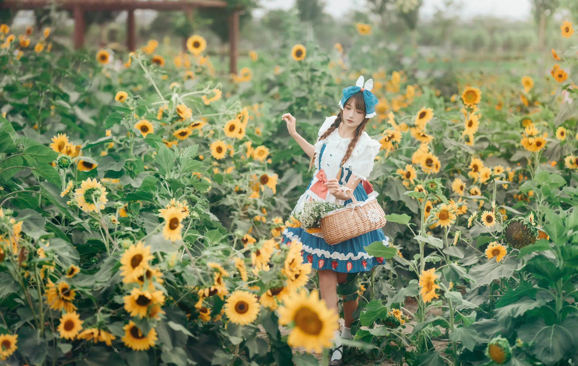 图片[5]-颜值博主_兔子Zzz不吃胡萝卜_No.091 &ndash; 甜甜向日葵女孩 主题写真 [31P]-Coser网络美女论坛-免费套图-看套图