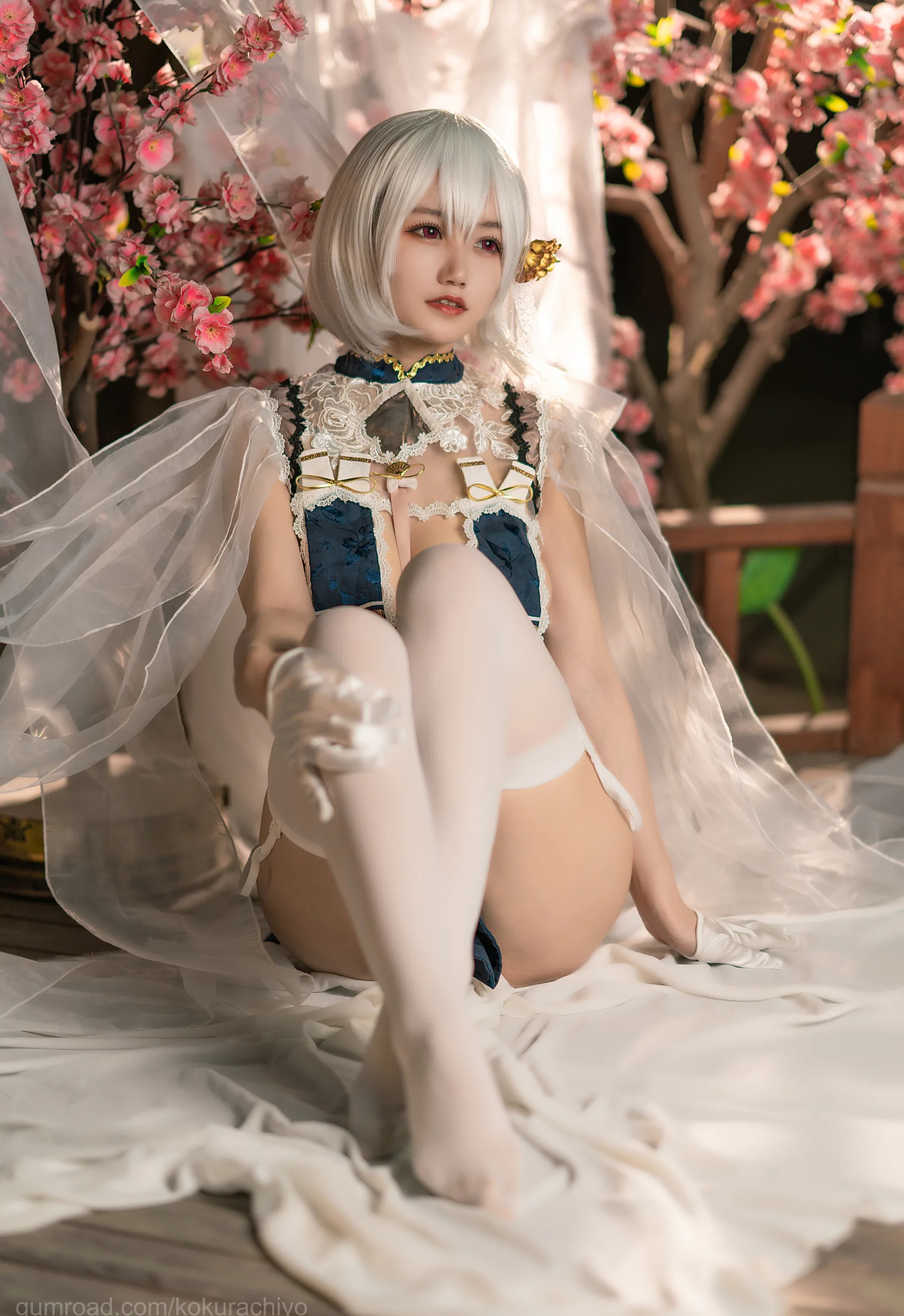 二次元博主_小仓千代w_No.022 天狼星旗袍 主题写真 [20P]-看套图