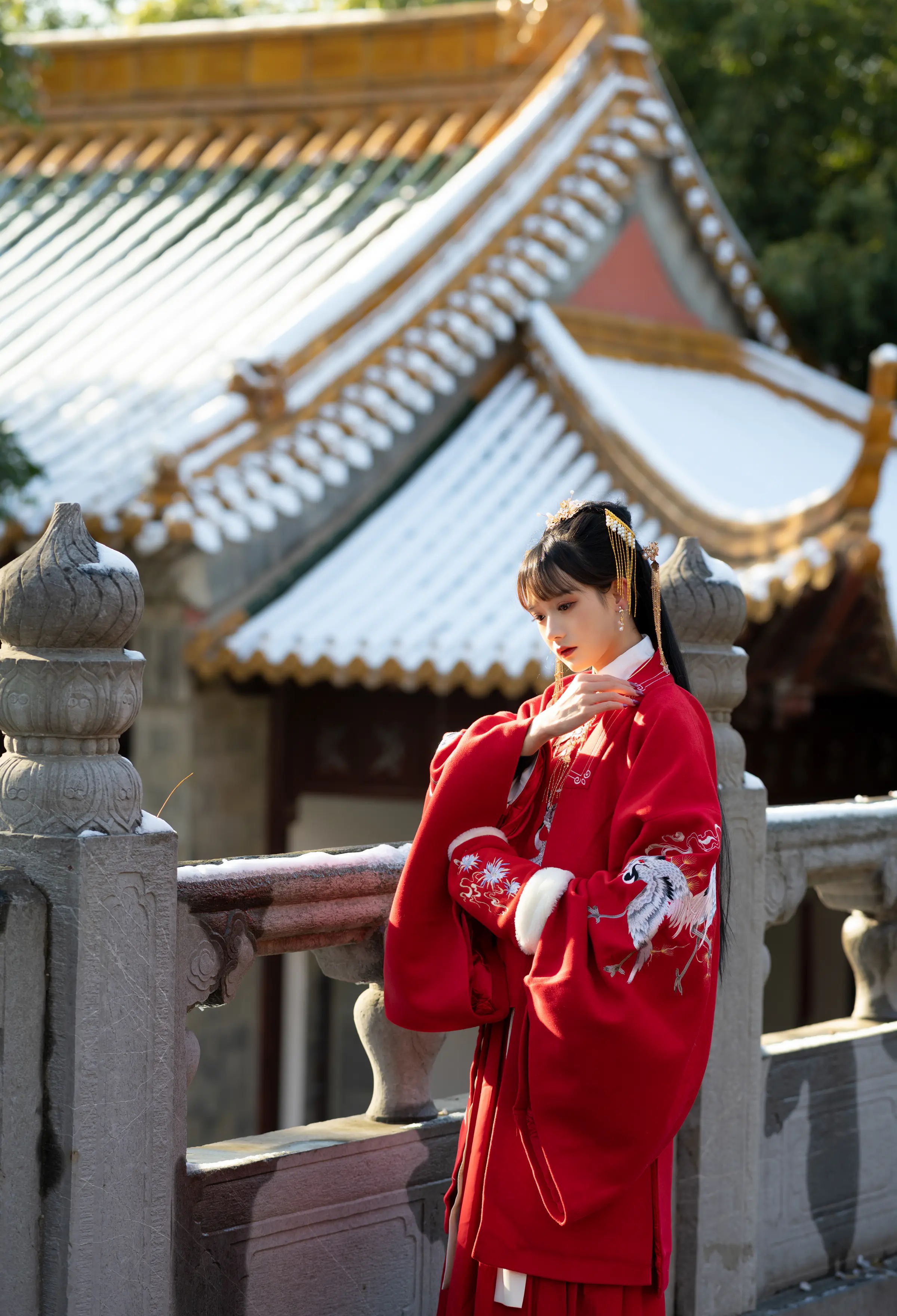 颜值博主_兔子Zzz不吃胡萝卜_No.080 &ndash; 深宫雪 主题写真 [27P]-看套图