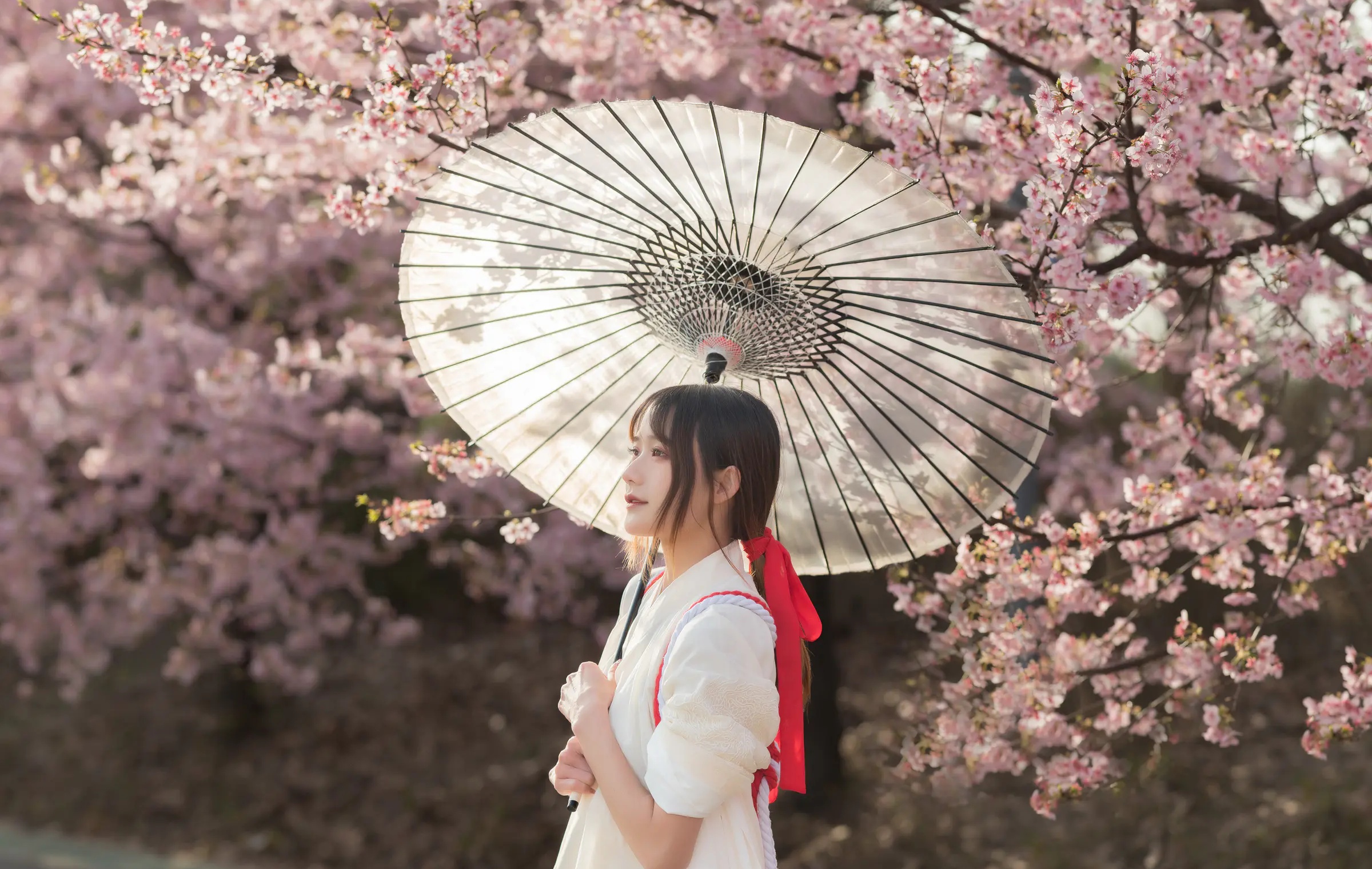 颜值博主_兔子Zzz不吃胡萝卜_No.069 &ndash; 樱语 主题写真 [27P]Xiuren秀人写真高清美女套图写真下载-看套图看套图