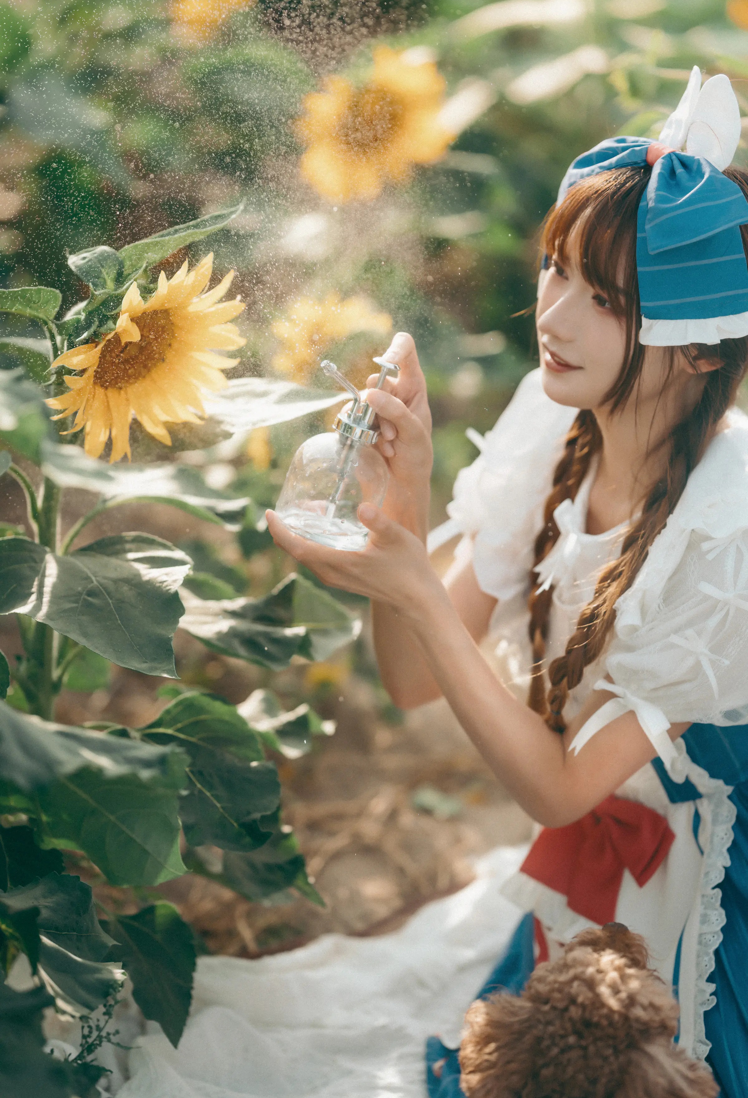 颜值博主_兔子Zzz不吃胡萝卜_No.091 &ndash; 甜甜向日葵女孩 主题写真 [31P]-看套图