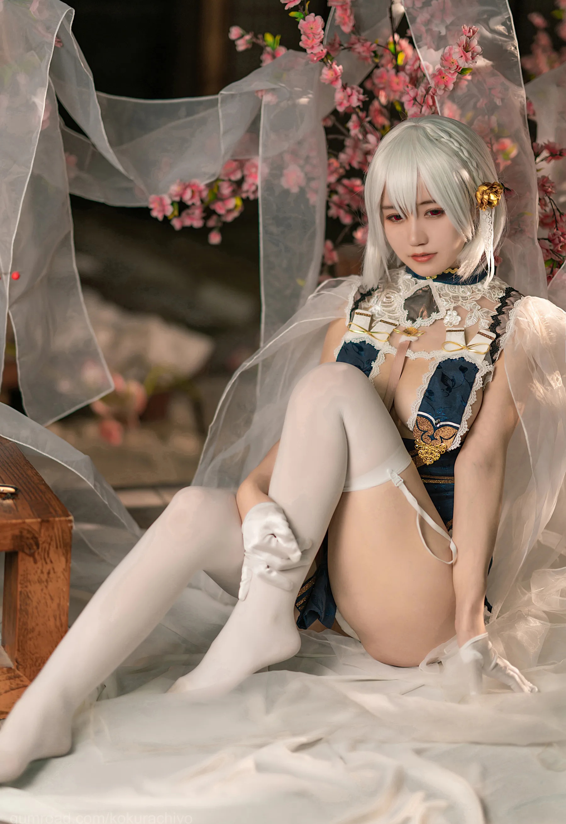 二次元博主_小仓千代w_No.022 天狼星旗袍 主题写真 [20P]-看套图