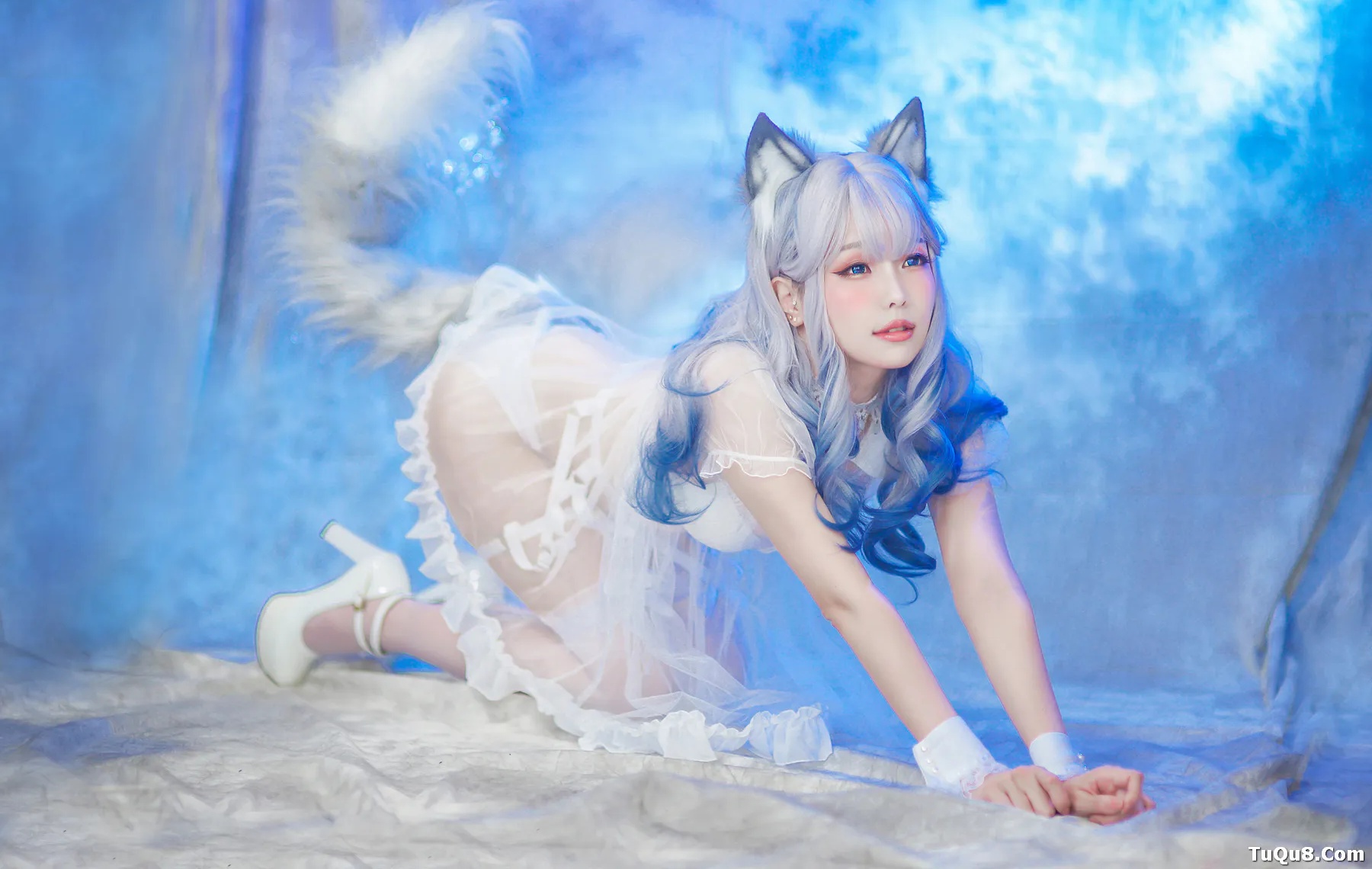 Coser妹子_ElyEE子_No.043 猫耳白丝带 主题写真 [54P]Xiuren秀人写真高清美女套图写真下载-看套图看套图